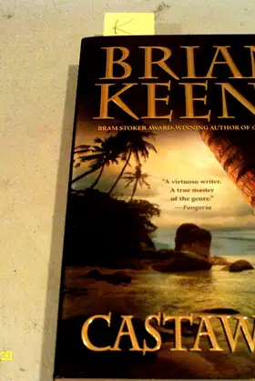 Castaways poster