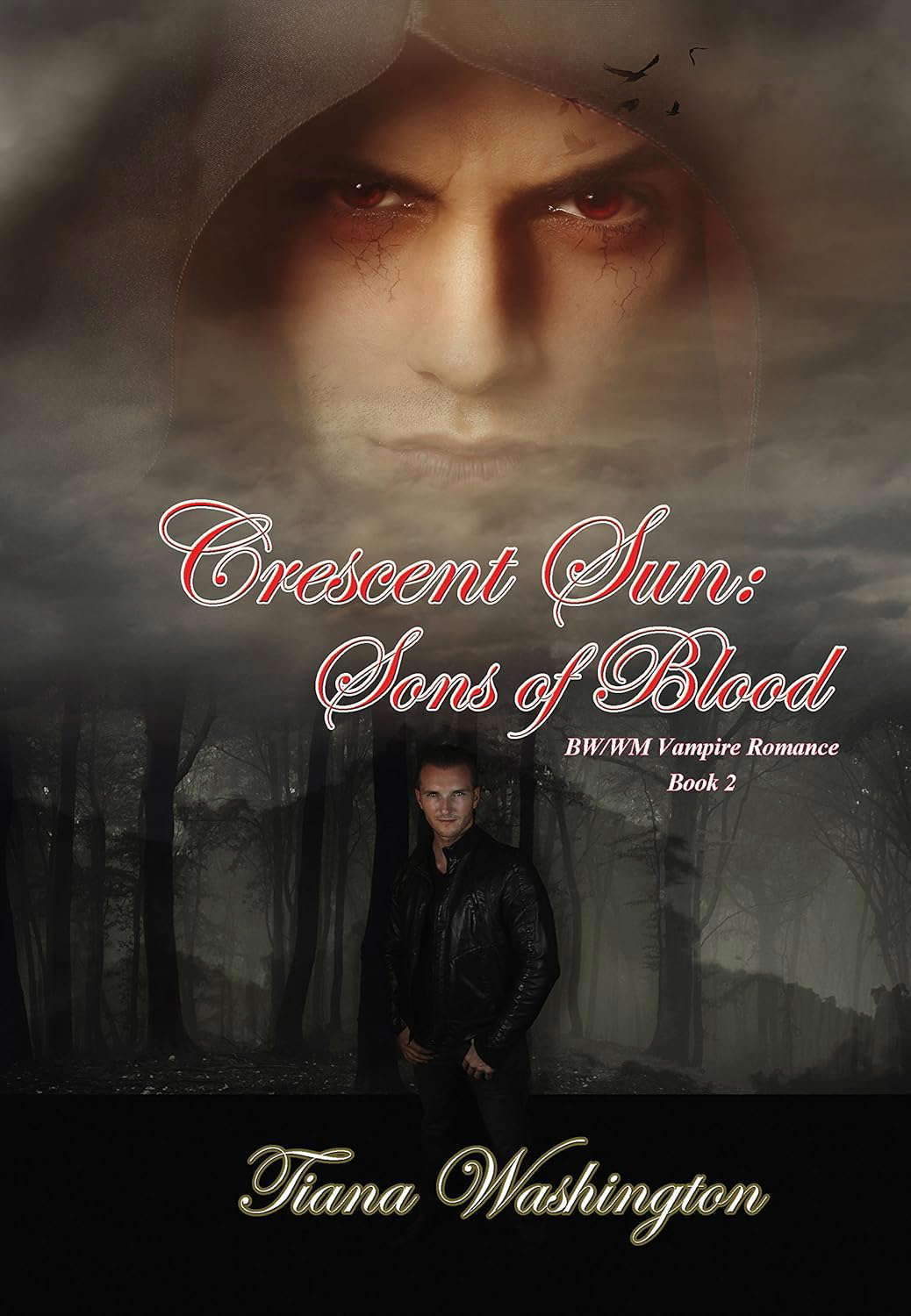 Crescent Sun: Sons of Blood: A BW/WM Vampire Romance Book 2 poster
