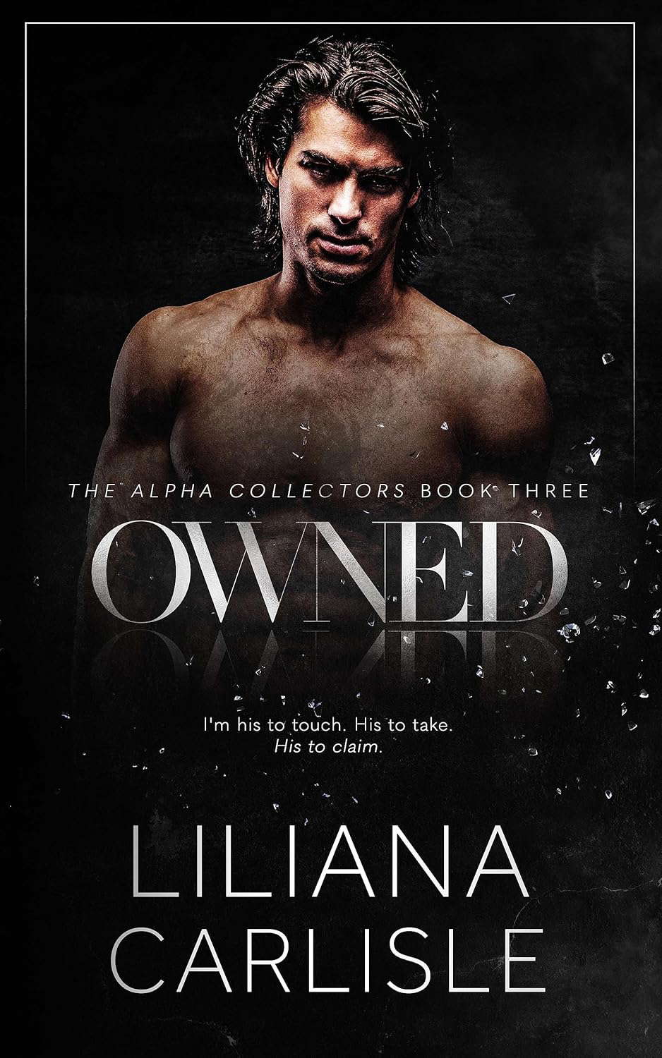 Owned: The Alpha Collectors poster