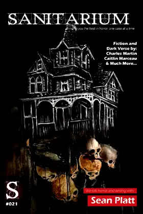 Sanitarium Issue #21: Sanitarium Magazine #21 (2014) poster