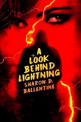 A Look Behind Lightning poster