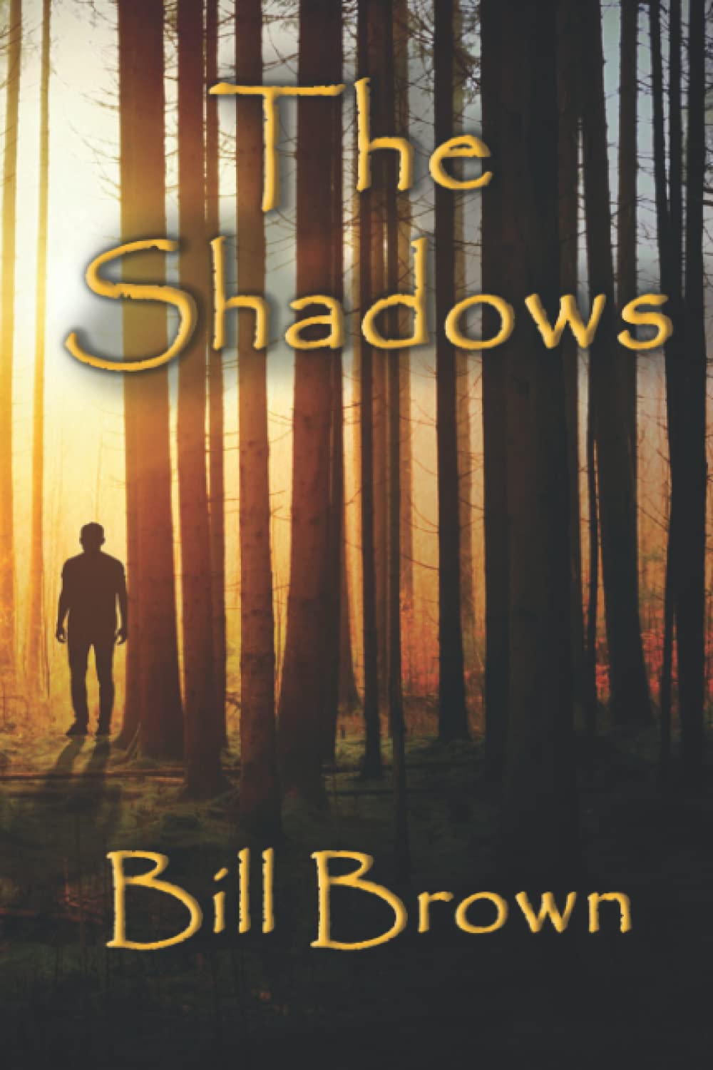 The Shadows poster