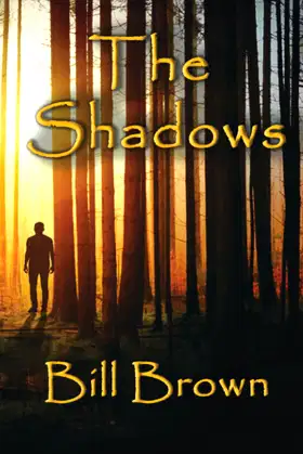 The Shadows poster