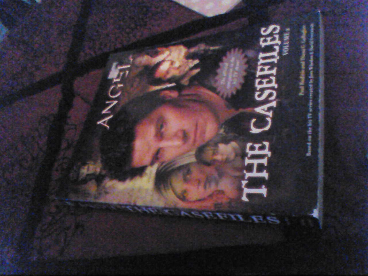 The Casefiles: Volume 2 (Angel) (v. 2) poster
