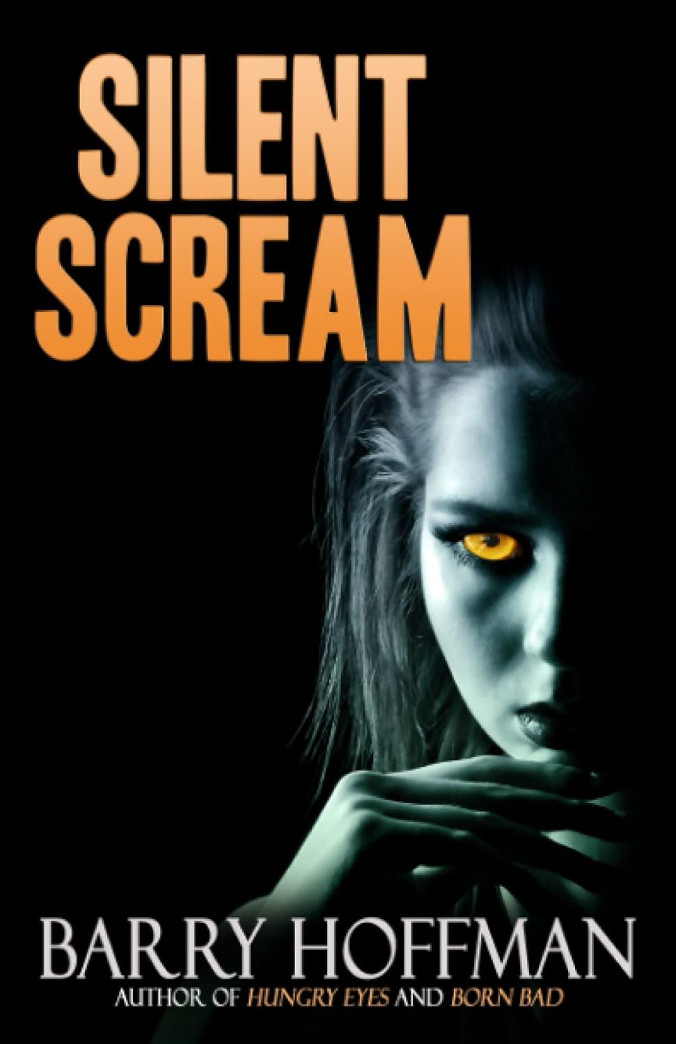 Silent Scream poster