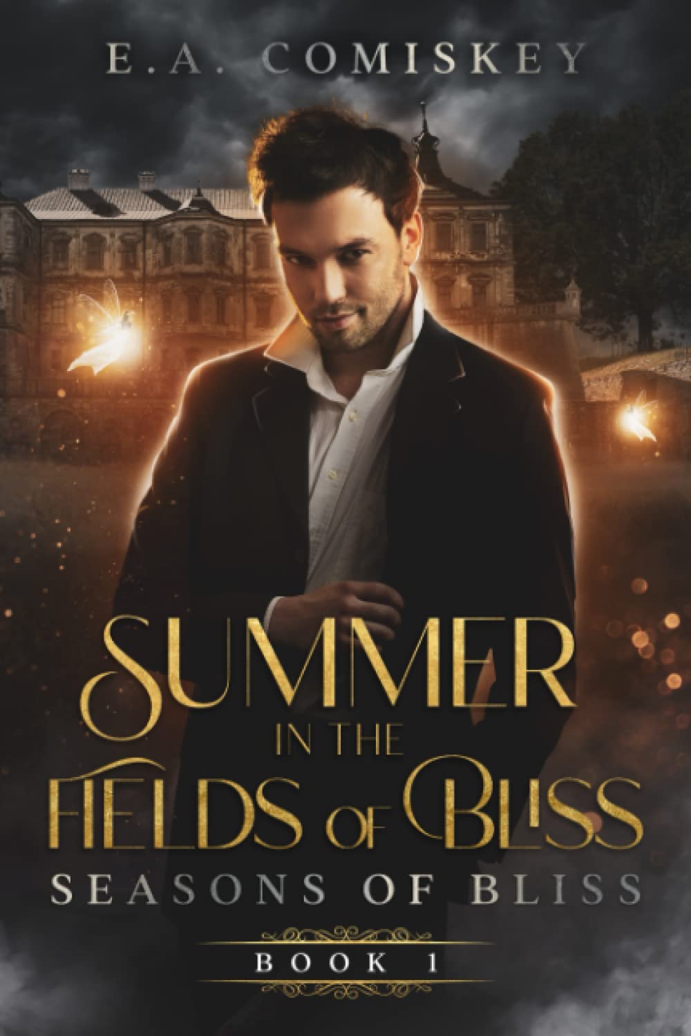 Summer In The Fields of Bliss: (Seasons of Bliss, book 1) poster