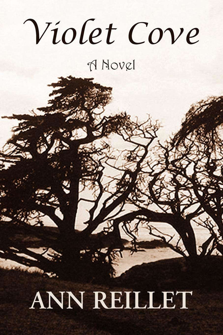Violet Cove poster
