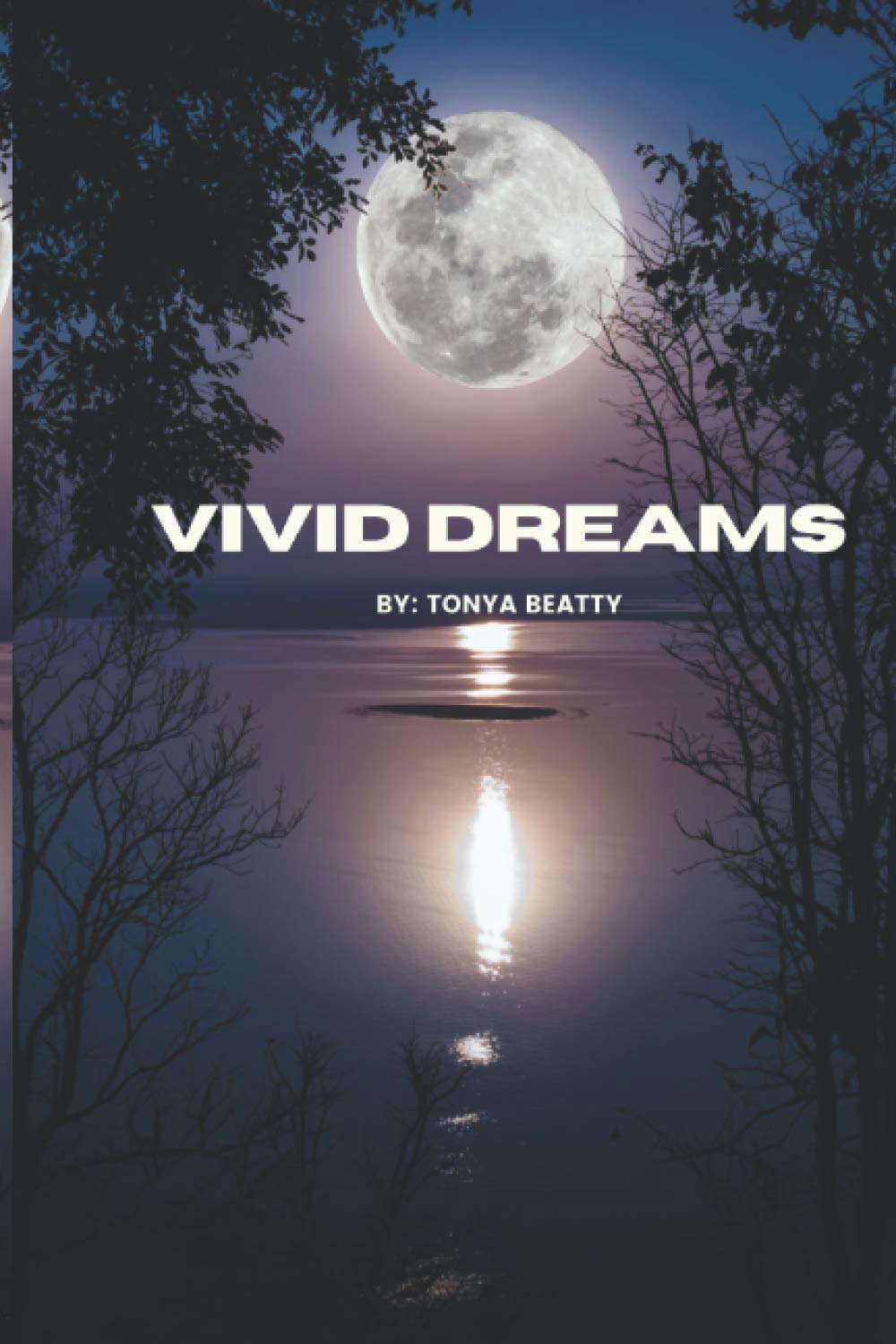 Vivid Dreams poster