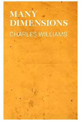 Many Dimensions poster
