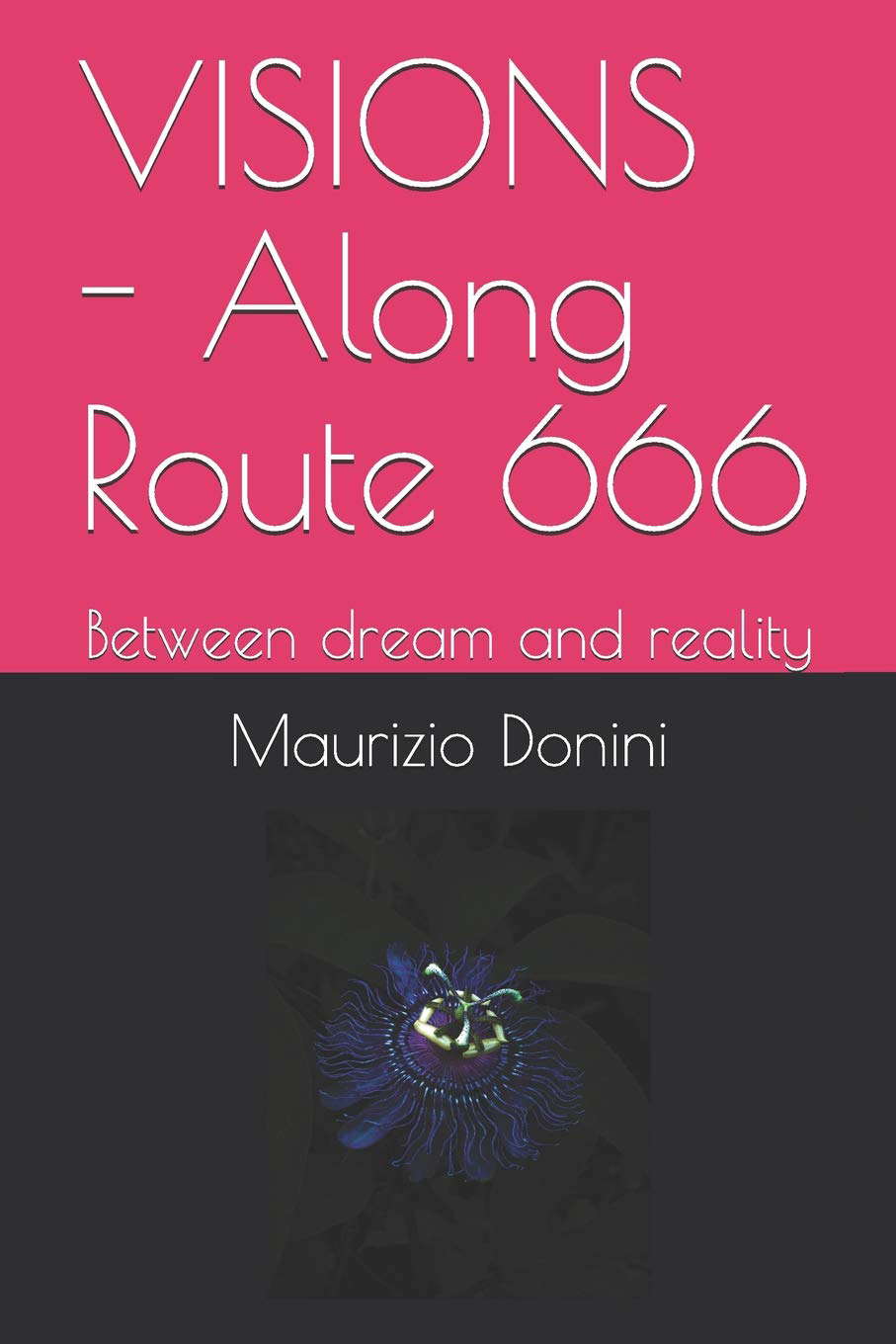 VISIONS - Along Route 666: Between dream and reality poster