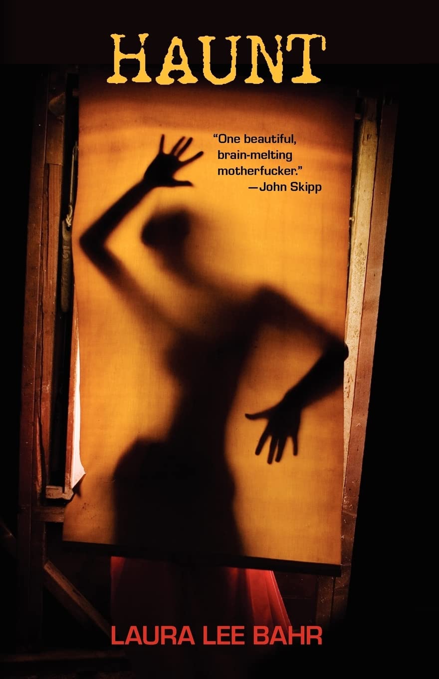 Haunt poster