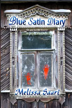 The Blue Satin Diary poster