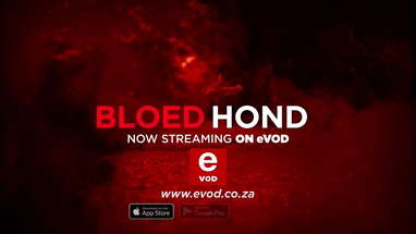BLOEDHOND - TRAILER poster