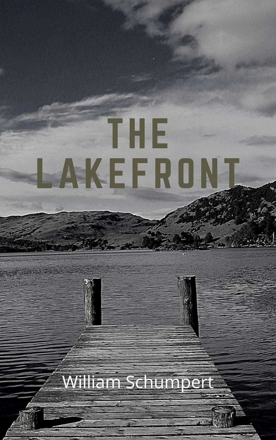 The Lakefront poster