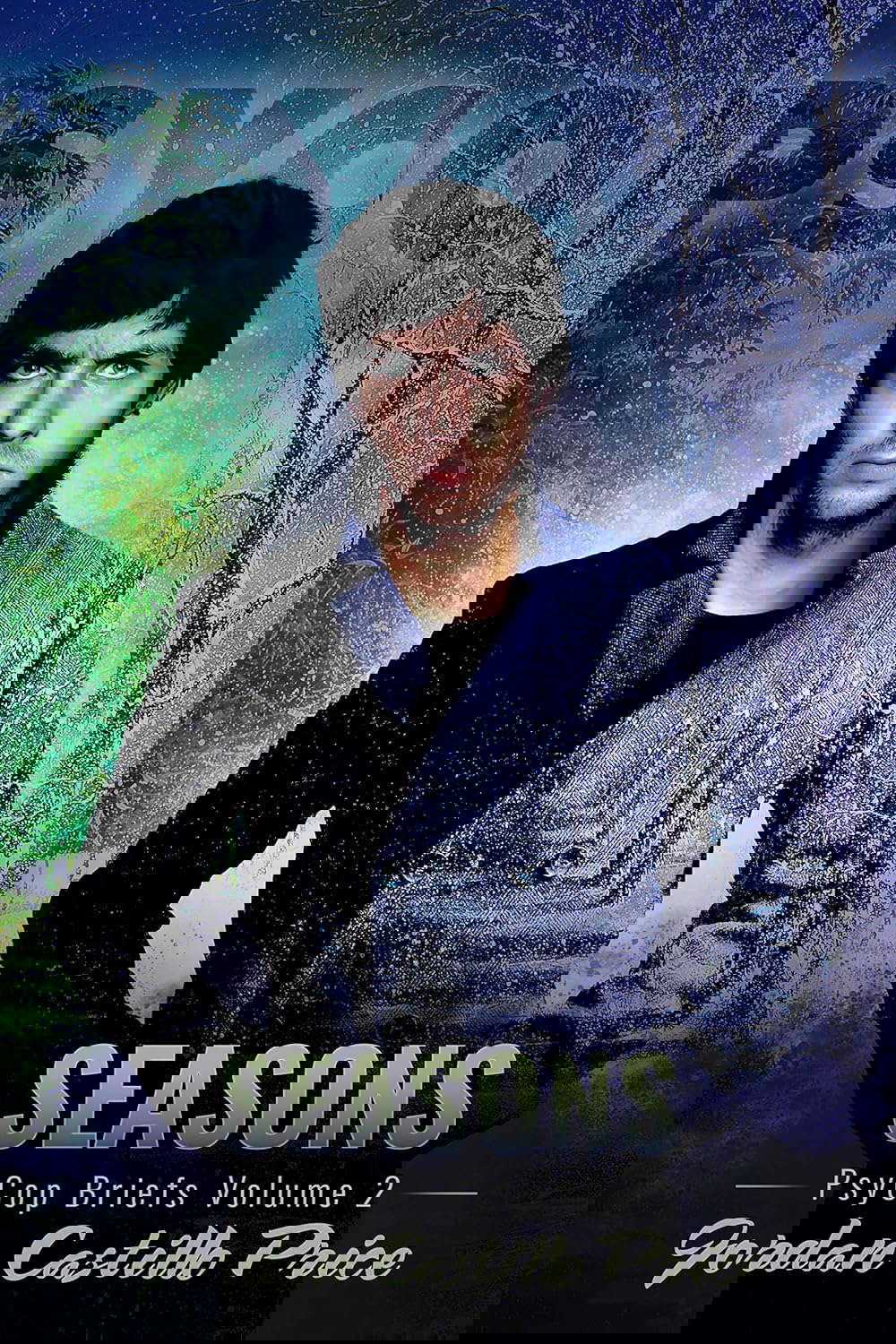 Seasons: PsyCop Briefs, Volume 2 poster