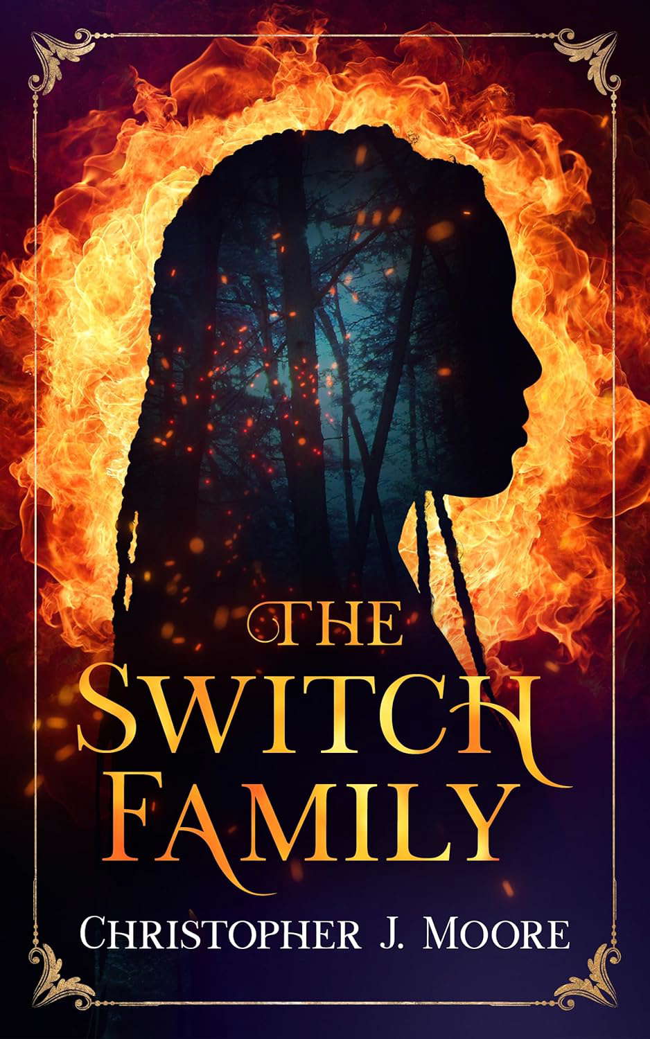 The Switch Family poster