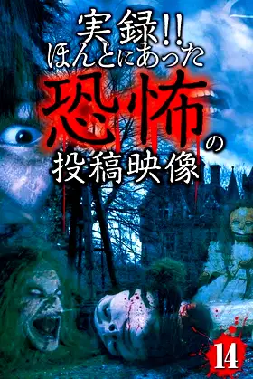 Actual Record! Real Horror Posted Video 14 poster