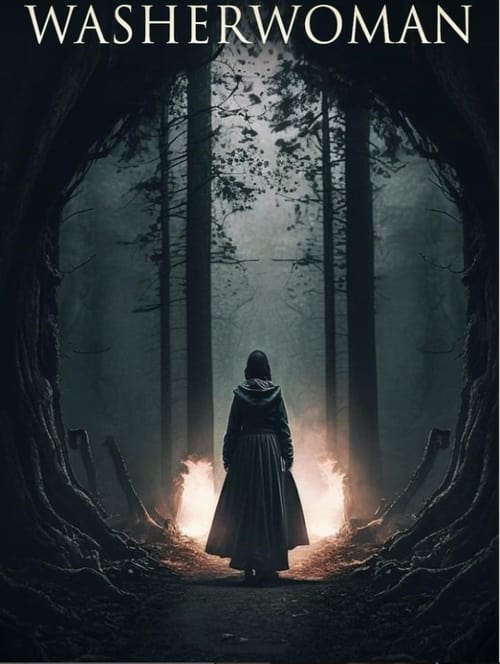 Washerwoman poster