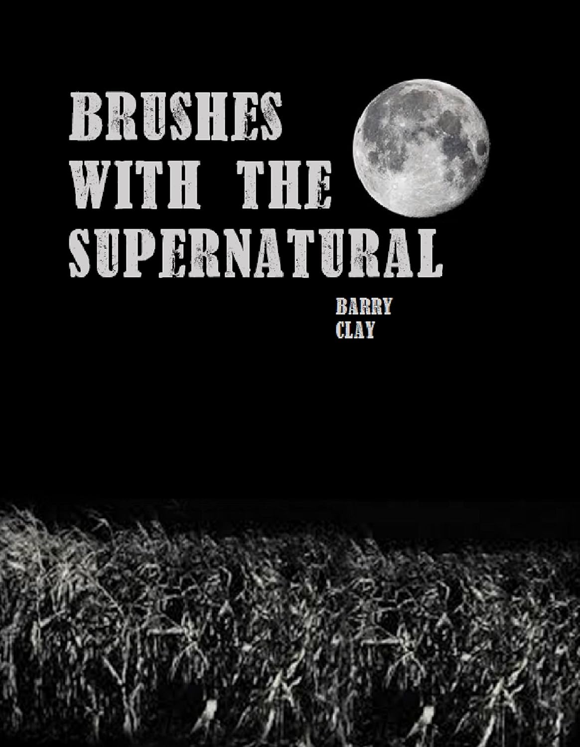 Brushes with the Supernatural poster