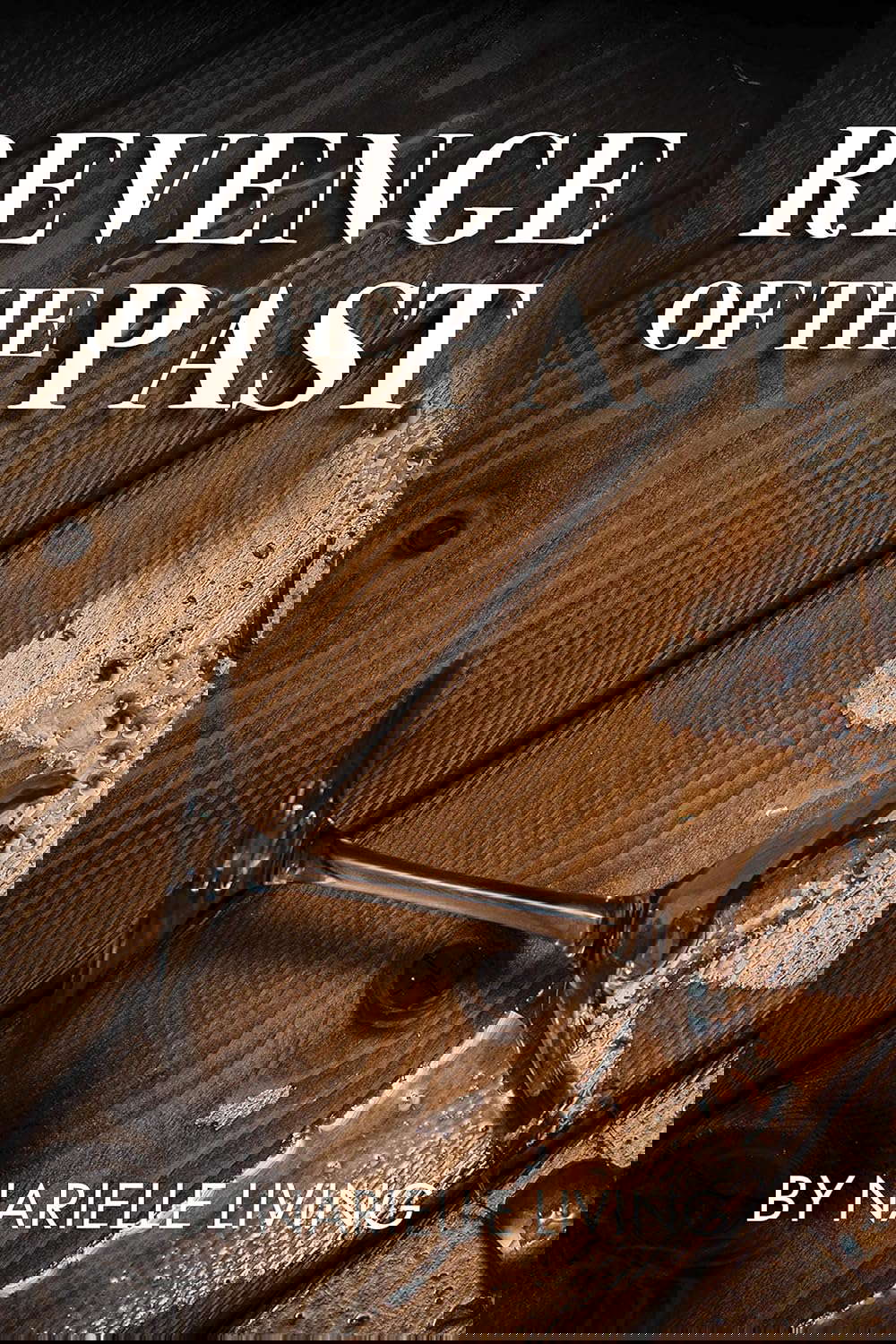 Revenge of the Past poster