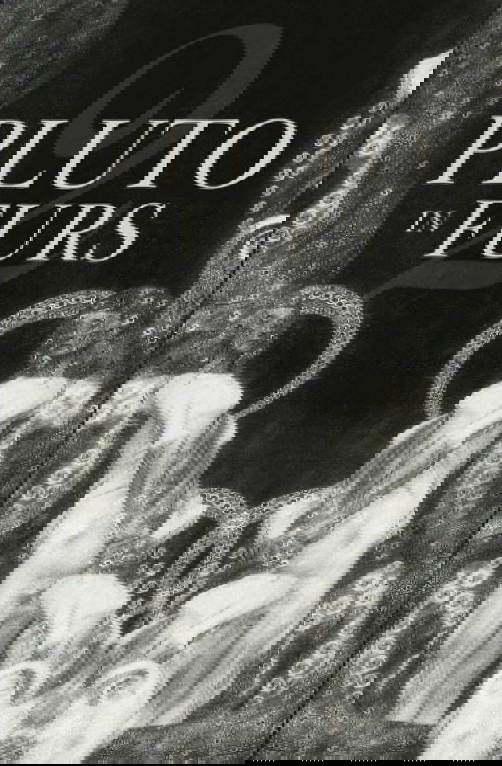 Pluto in Furs 2 poster