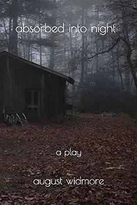 absorbed into night: a play poster