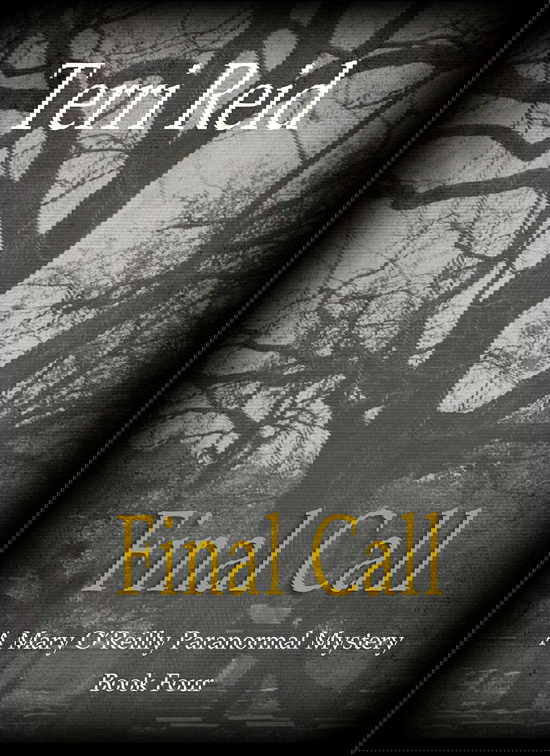 Final Call (Mary O'Reilly Series Book 4) poster