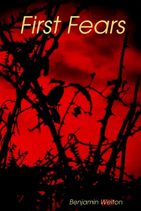 First Fears poster