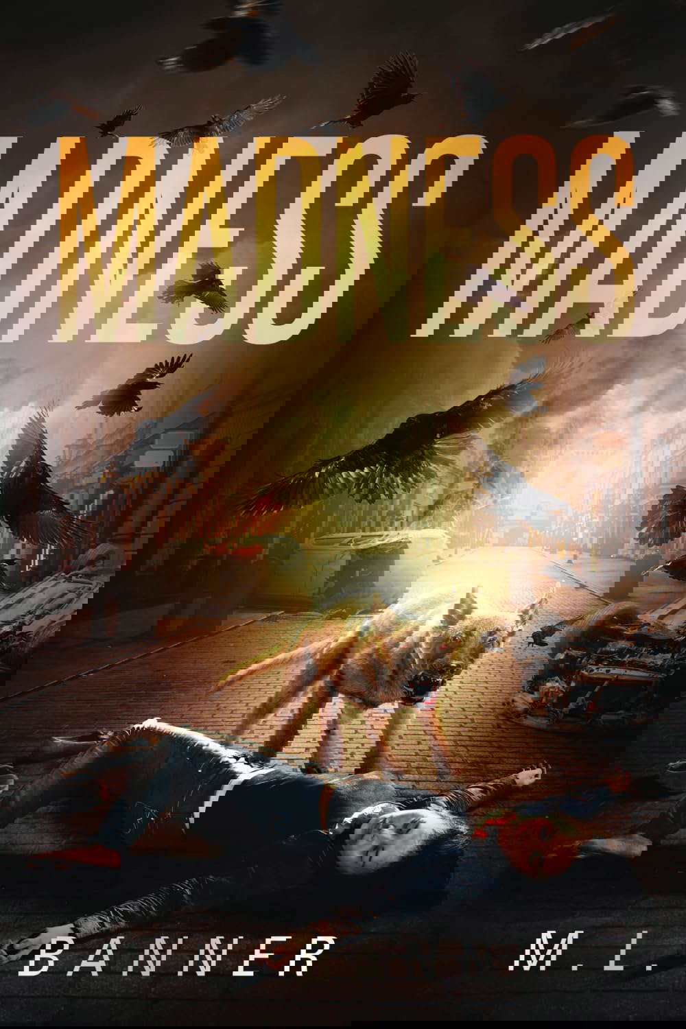 Madness (Madness Chronicles) poster