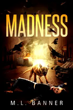 Madness (Madness Chronicles) poster