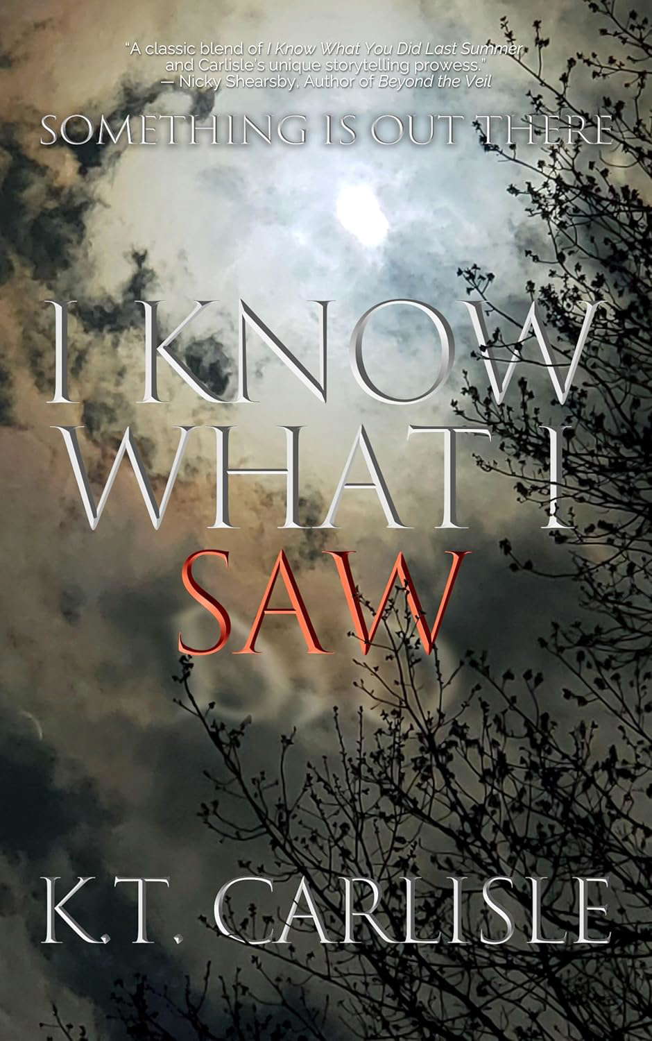 I Know What I Saw poster