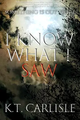 I Know What I Saw poster