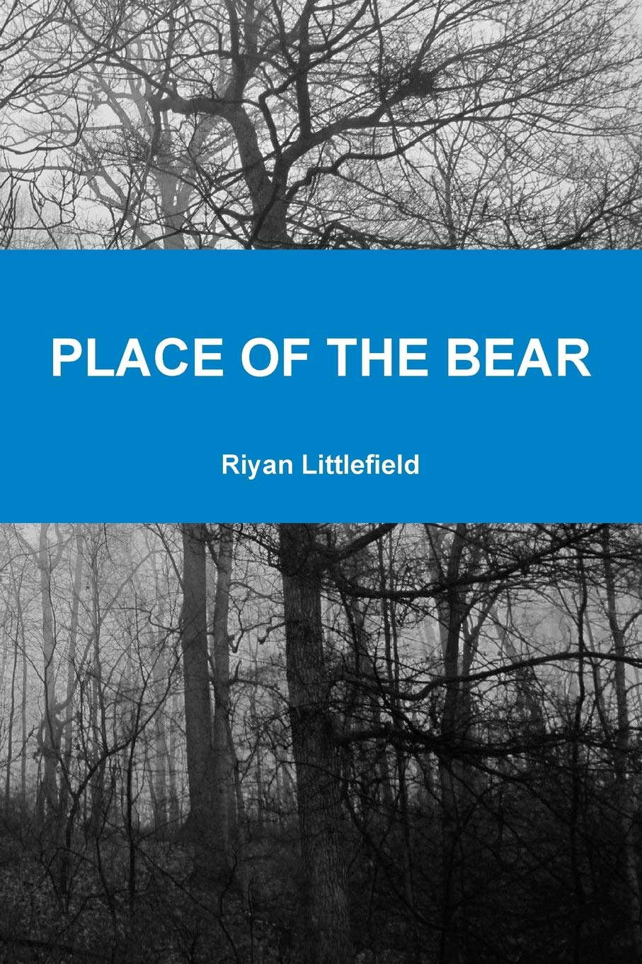Place of the Bear poster