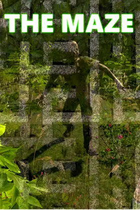 The Maze poster