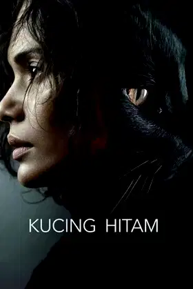 Kucing Hitam poster