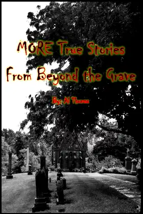 MORE True Stories From Beyond the Grave poster