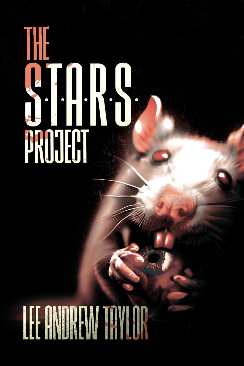 The S.T.A.R.S Project: 6 x 9 size poster
