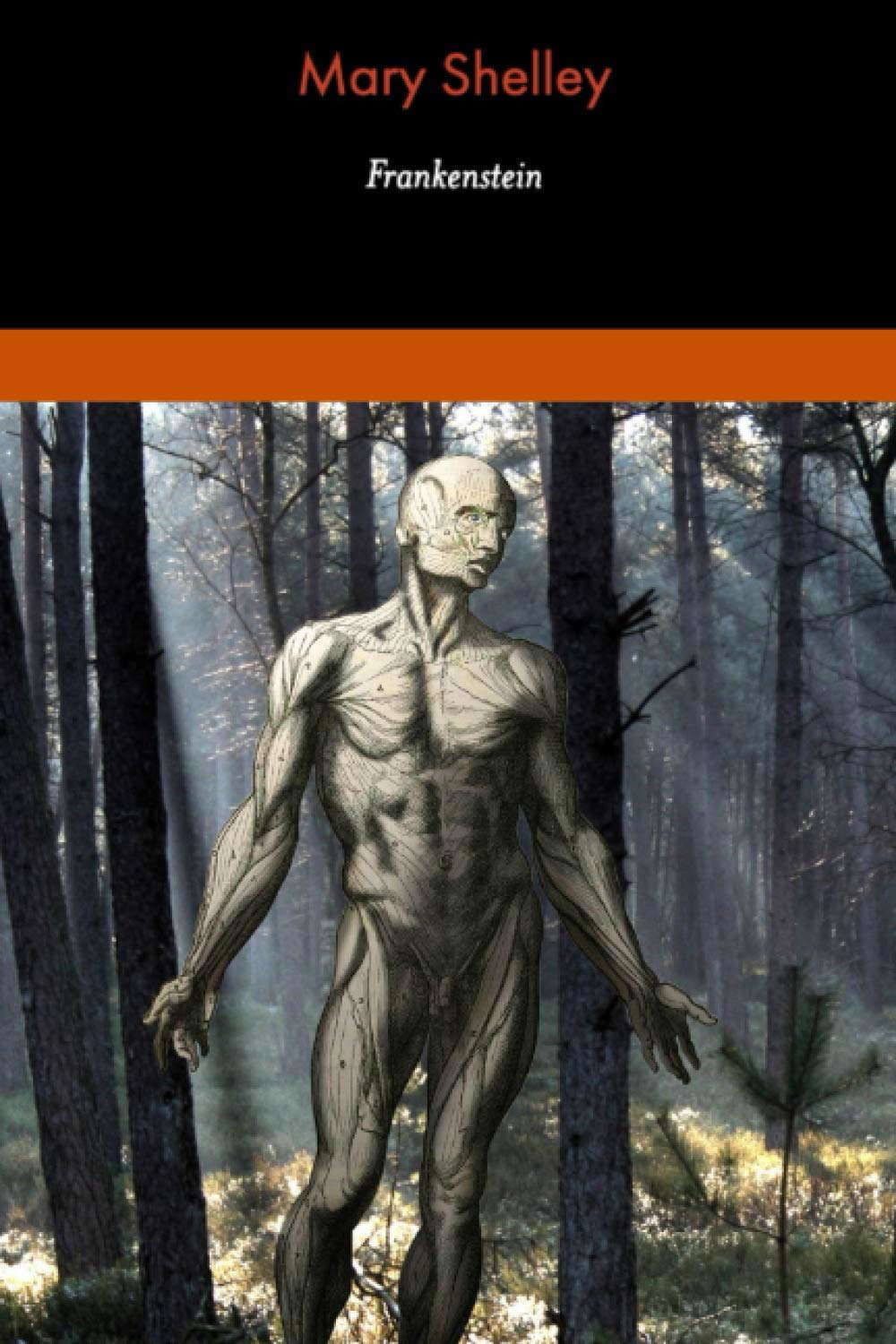 Frankenstein: 1818 Text poster