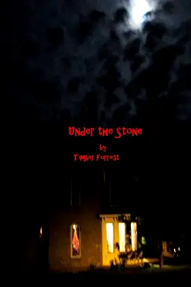 Under the Stone poster