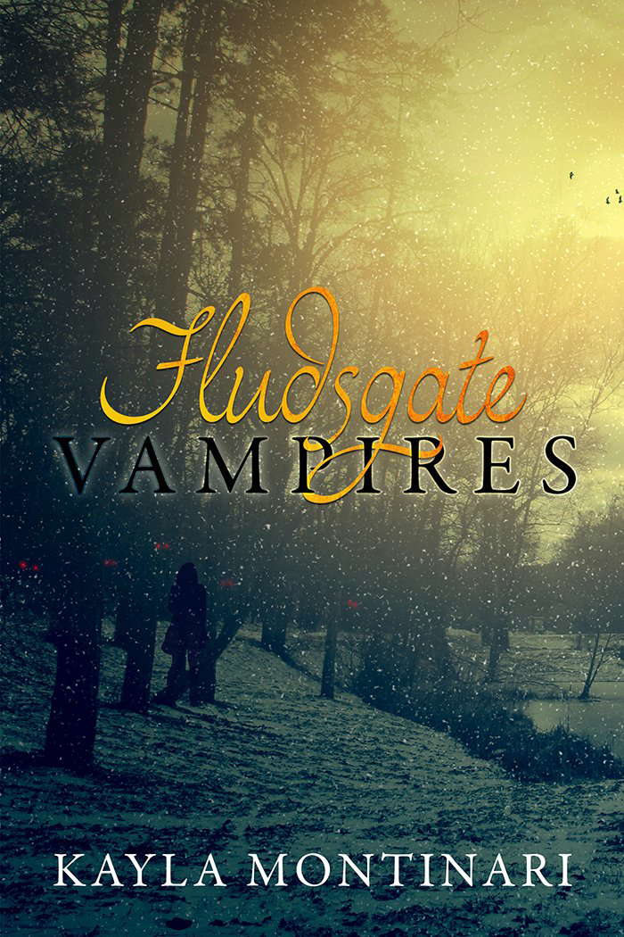 Fludsgate Vampires poster