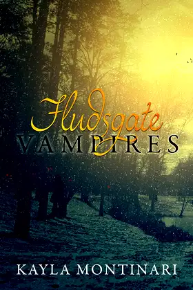 Fludsgate Vampires poster