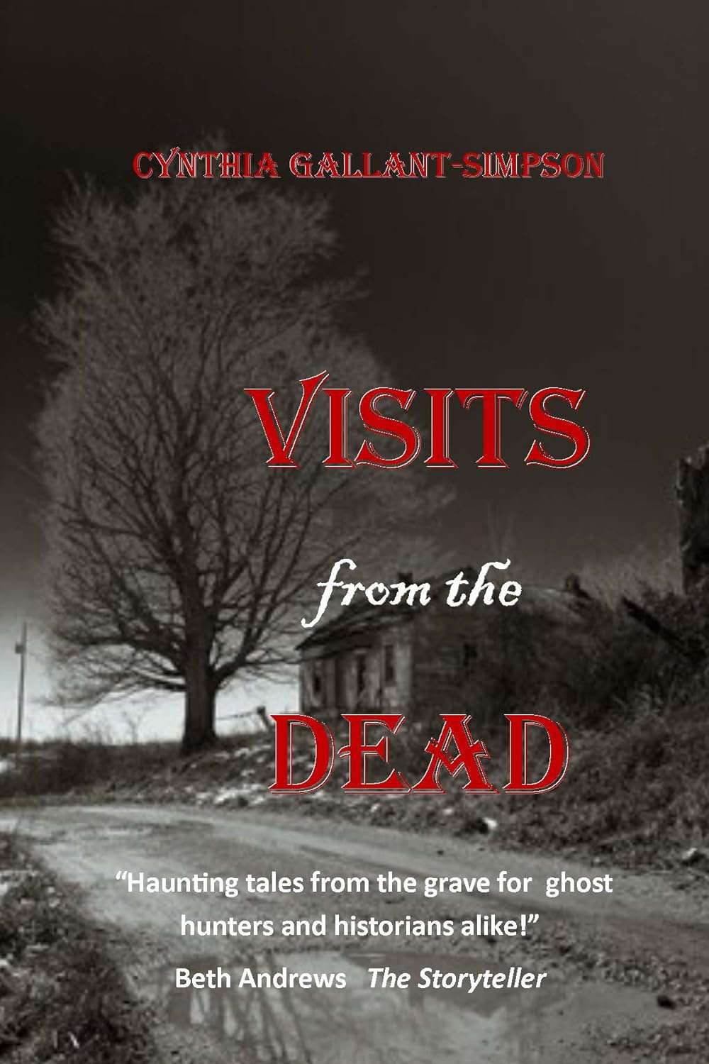 Visits From The Dead (True (?) tales of ghosts and hauntings) poster