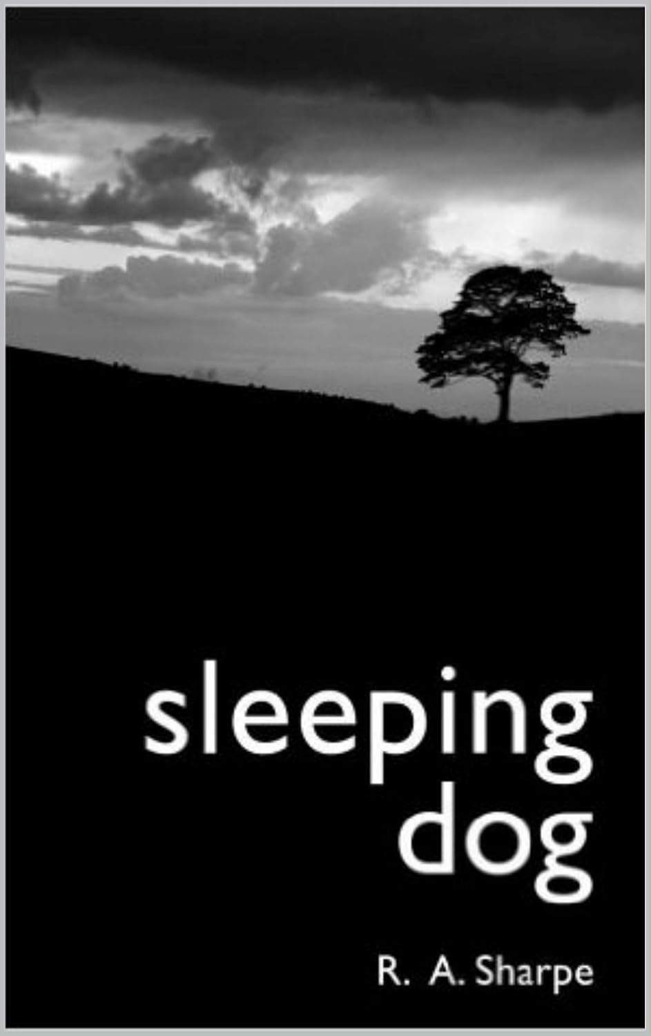 Sleeping Dog poster