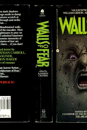 Walls of Fear poster