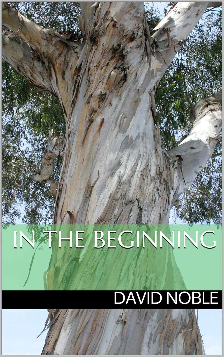 In The Beginning poster