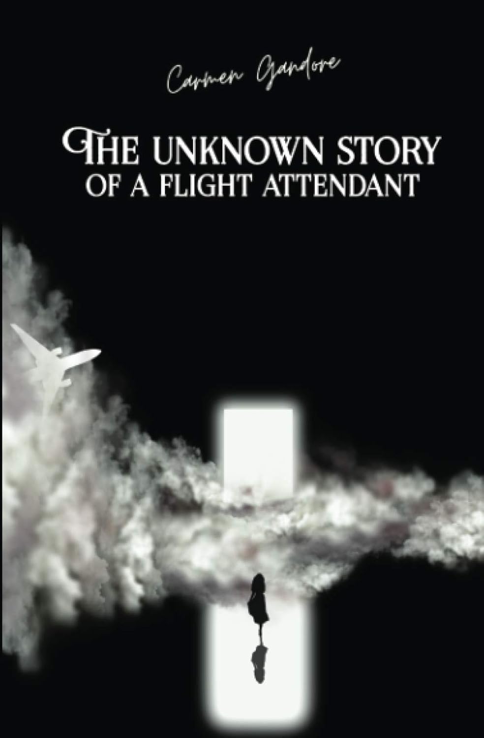 The Unknown Story Of A Flight Attendant poster
