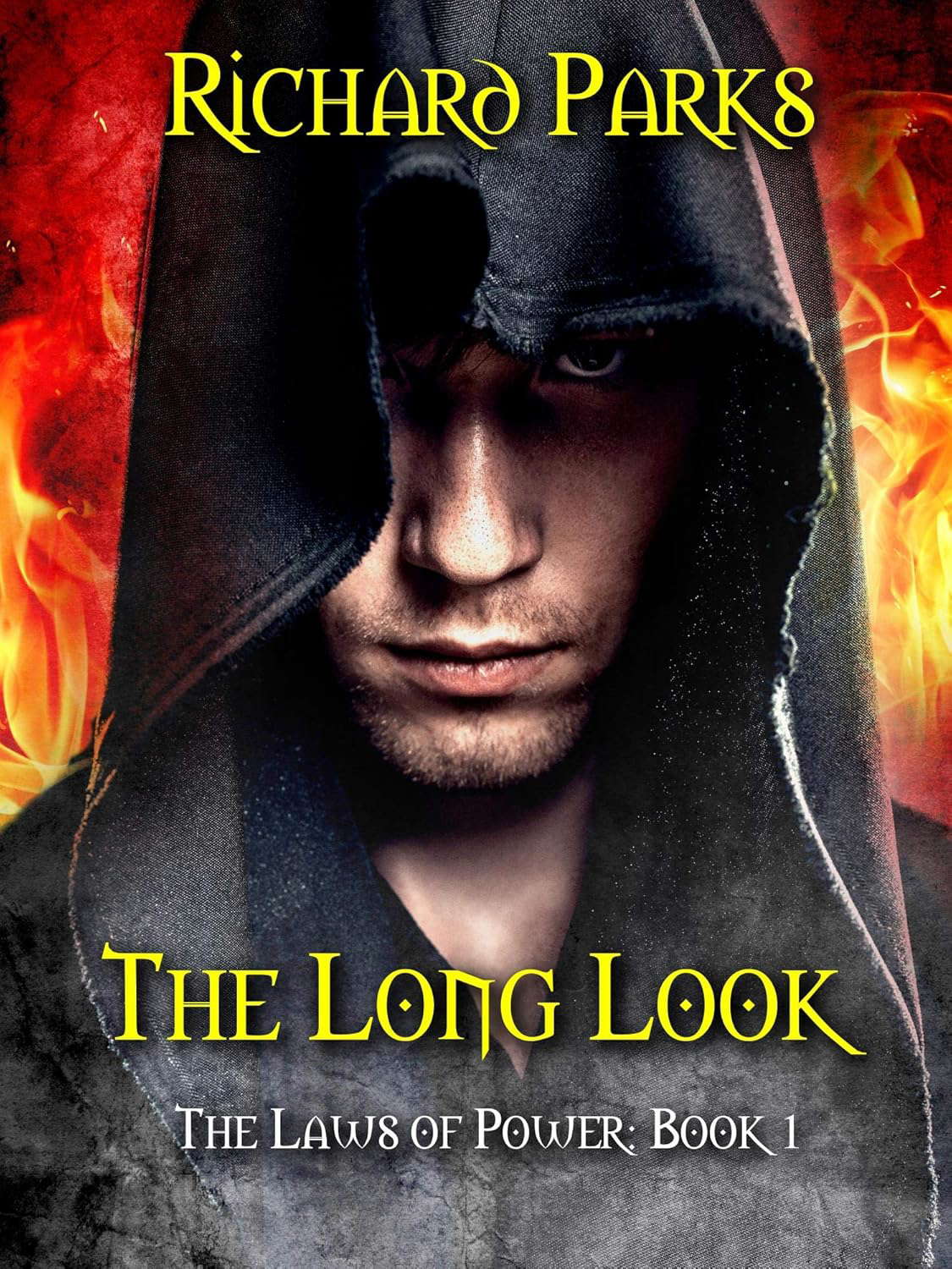 The Long Look (The Laws of Power Book 1) poster