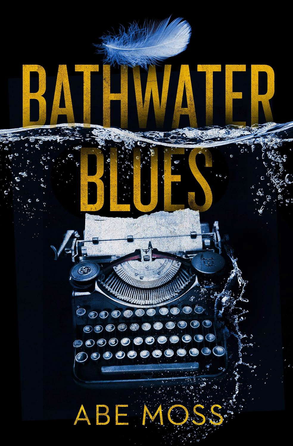 Bathwater Blues: A Novel poster