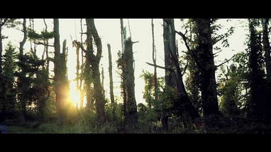 Hylo Official Trailer poster