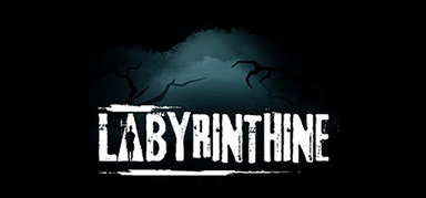 Labyrinthine capsule